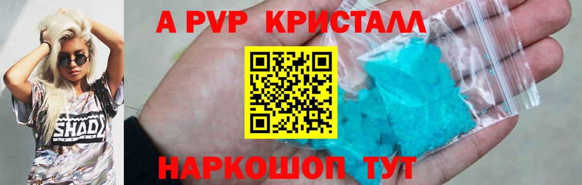 A PVP СК КРИС Киреевск
