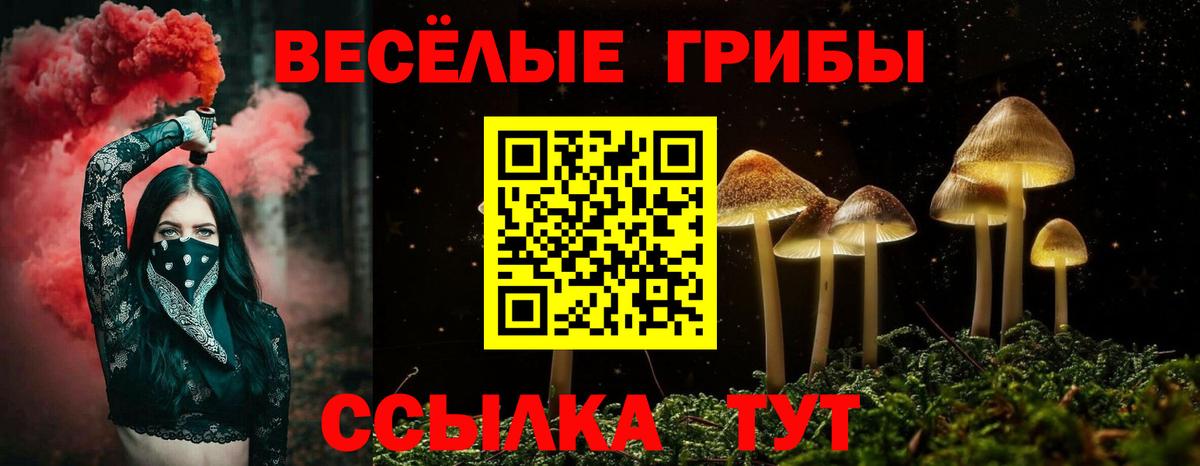 Галлюциногенные грибы Cubensis Киреевск